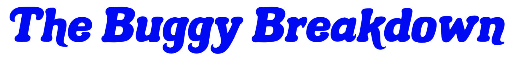 THE BUGGY BREAKDOWN The Buggy Breakdown in blue text
